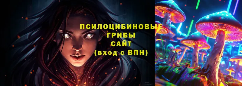 Галлюциногенные грибы Cubensis  Верхняя Тура 